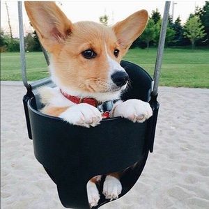 Meet your Posher, Regina